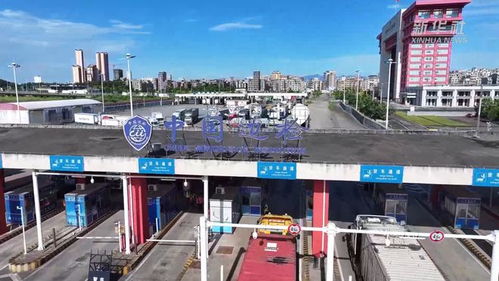 生产一线见闻 中越边境东兴口岸，货物进出口跑出“加速度”