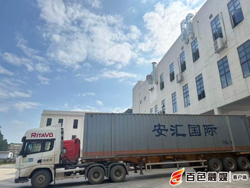 平孟口岸年通关货物突破4000吨 那坡边境贸易活力持续增强