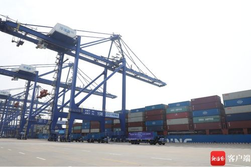 437.5亿元！儋州前4个月外贸进出口持续领跑全省